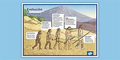 Academia De Evolución Humana Spa