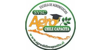 Soledad Valdés, Servicios De Capacitación E.I.R.L. (Agrochilecapacita)