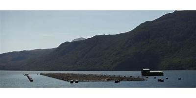 Sociedad De Formación Alfa Capacita Spa (Alfa Capacita)