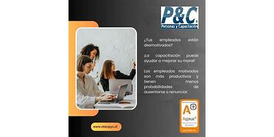 Assessor Capacitación Limitada