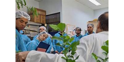 Bio Bio  Capacitación Limitada. (Bio Bio Capacitacion Ltda)