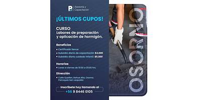 Brito Pradenas Asesoria Y Capacitación Limitada (Bp Capacitacion Limitada)