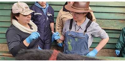 Vremia Capacitación Limitada (Capacitacion)