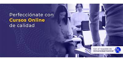 Central Servicios Sociedad Anónima (Capacitaucen De La Universidad Central )
