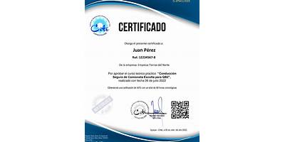 Centro De Instrucción Técnica Iquique Limitada