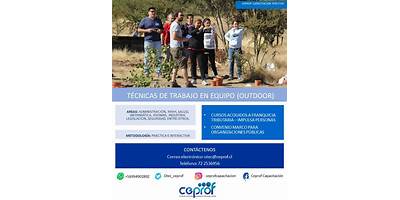 Sociedad Centro De Capacitación Y Mejoramiento Profesional Limitada (Ceprof)