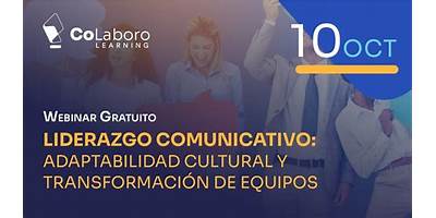 Organismo Técnico De Capacitatación Humannet Spa (Colaboro Learning)