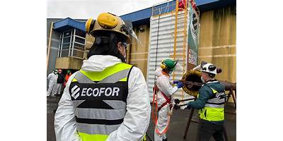 Ecofor Capacita Limitada (Ecofor Capacita)