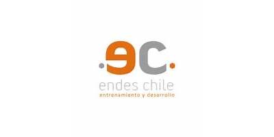 Servicios De Capacitación Endes Chile Limitada (Endes Chile )