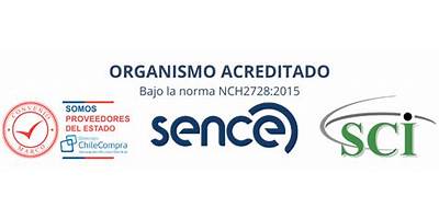 Formalviz Agencia En Chile (Formalviz Agencia En Chile)