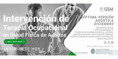 Gsm Capacitaciones Spa (Gsm Capacitaciones Spa)