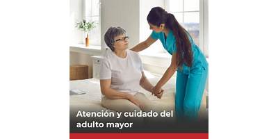 .Roberto Jaque Leiva Organismo Técnico De Capacitación E.I.R.L. (Instituto De Capacitacion Idomek)