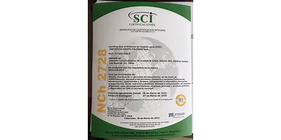 Instituto Grupo Palermo Spa