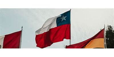 Sociedad Ipa Pazia Capacitaciones Y Consultorias Limitada (Ipa Pazia)