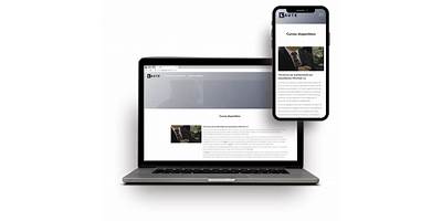 Instituto Iseg Spa (Laute)