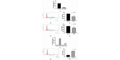 Chilealimentos Capacita Otec Spa (M2a Otec)