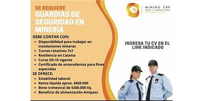 Servicios De Capacitación Viviana García Ildefonso E.I.R.L. (Mining Cap)