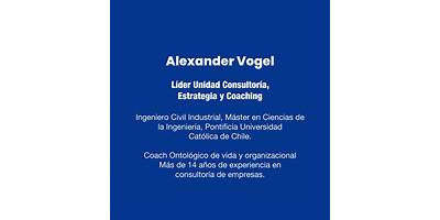 Modelos Y Soluciones Organizacionales Limitada (Mso Chile)