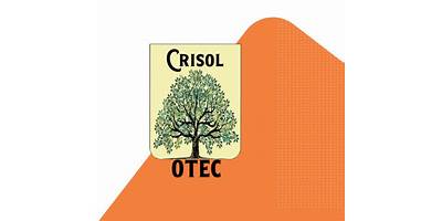 Servicios De Capacitacion  Sonia Ana Carvajal Diaz  E.I.R.L. (Otec Crisol )