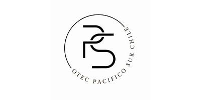 Opción Sur Capacitación Spa (Otec Opcion Sur)