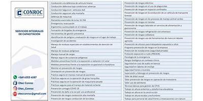 Servicios Integrales Para El Desarrollo Empresarial Spa