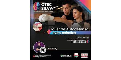 Silva, Contreras Y Compañía Limitada