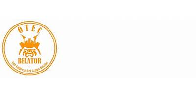 Sociedad De Formación Y Capacitación Fiveminerals Limitada