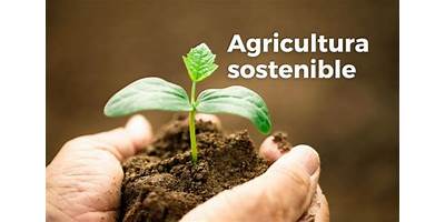 }Sociedad De Promoción Y  Desarrollo Agrícola Limitada